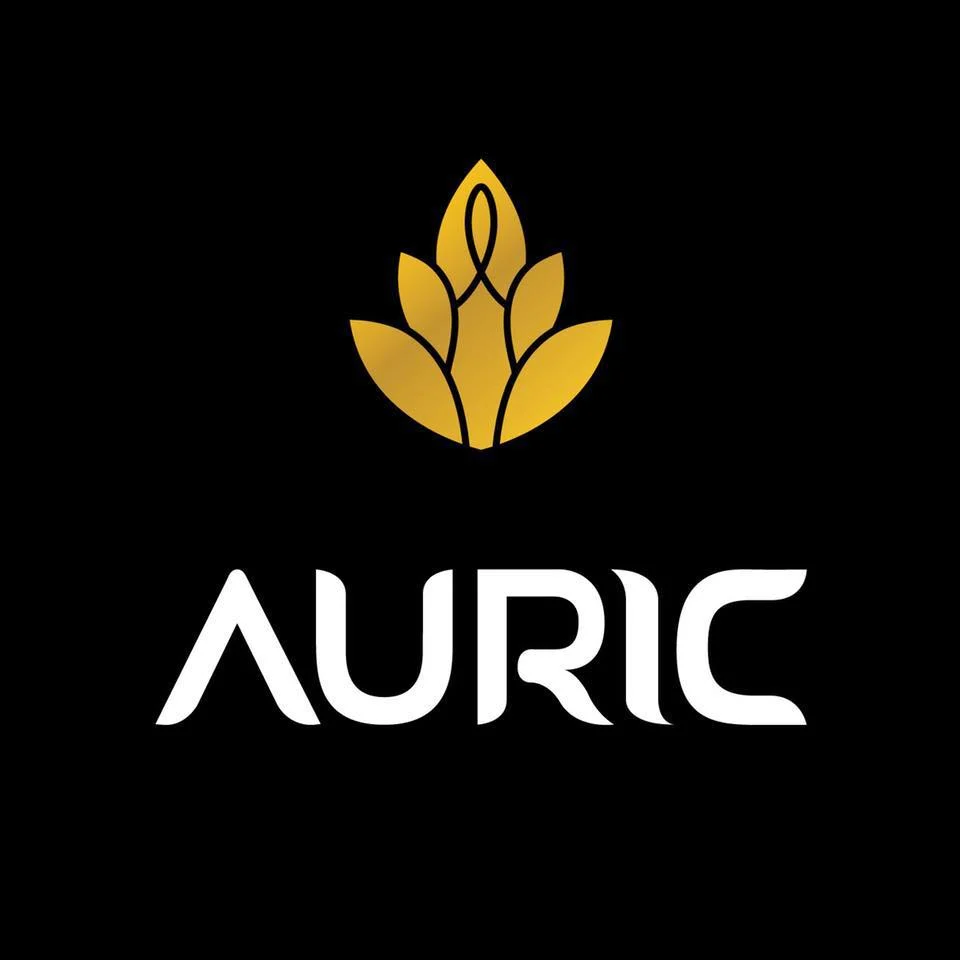Auric Group