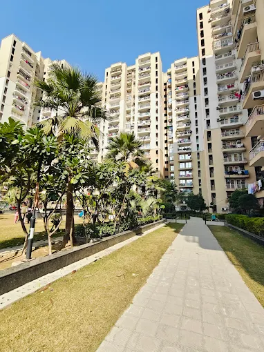 Nirala Greenshire