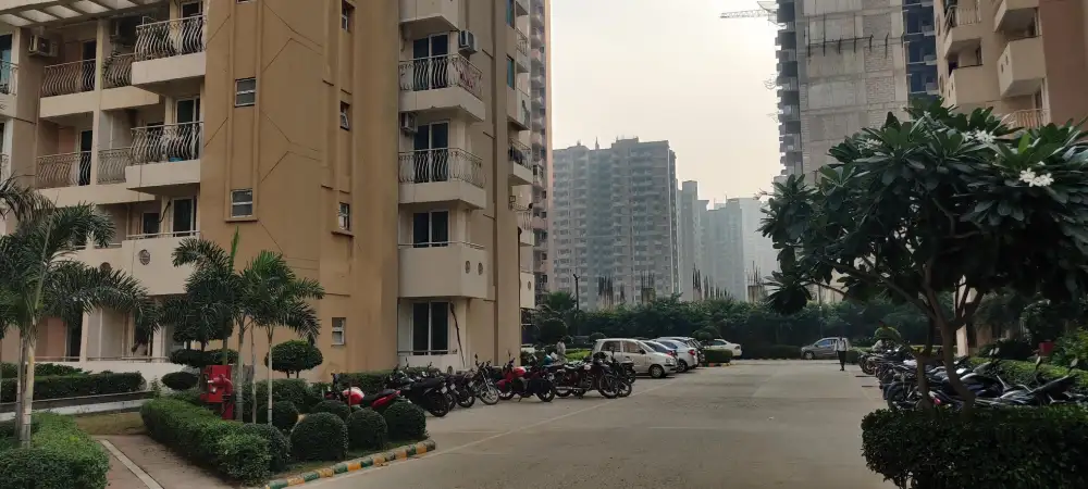 Sikka Kaamna Greens